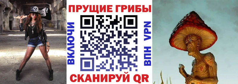 наркошоп  Кулебаки  Галлюциногенные грибы Magic Shrooms 