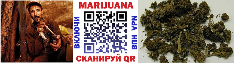 мориарти как зайти Кулебаки Шишки марихуана SATIVA & INDICA